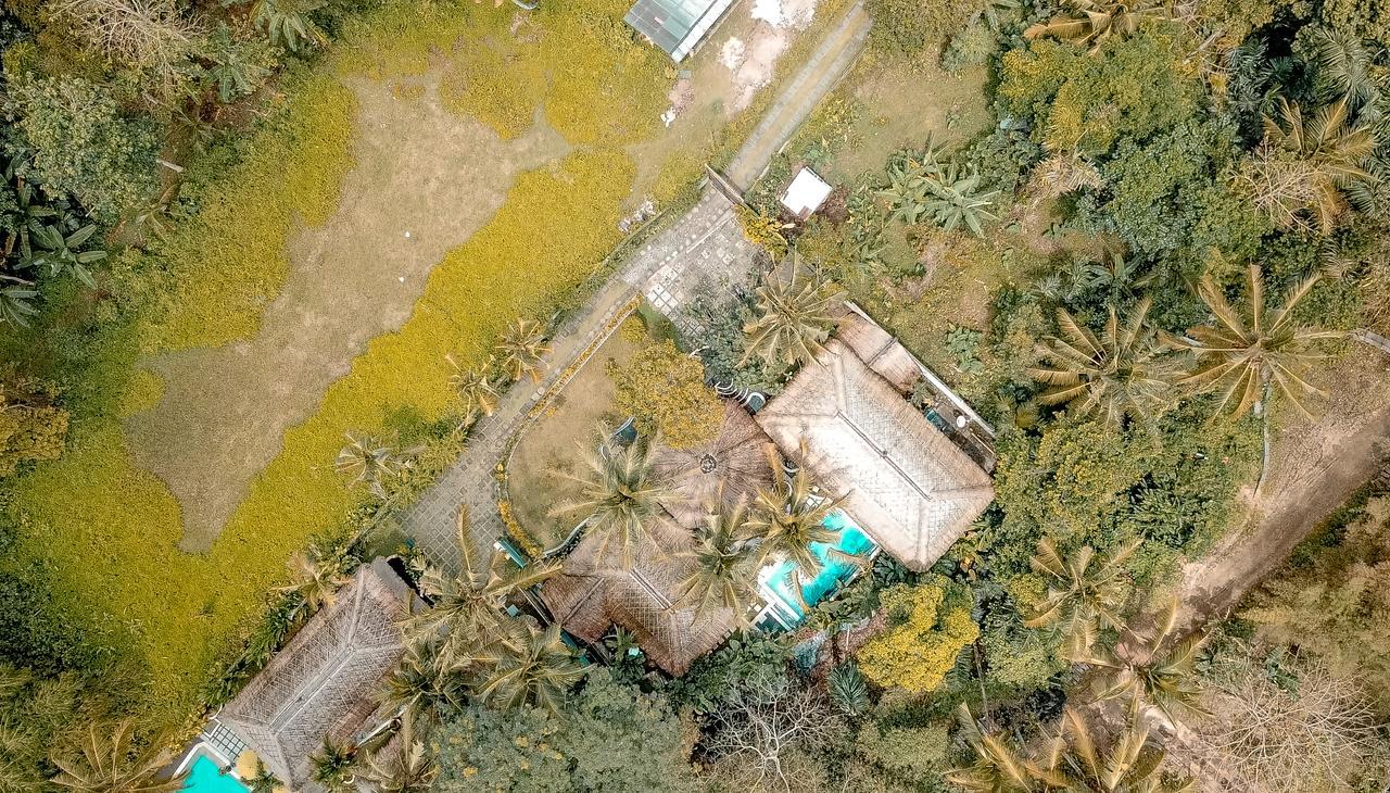 Villa Bali Village Ubud Eksteriør billede
